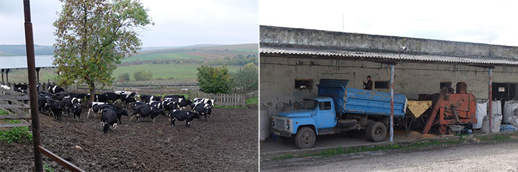 Schiwa Semlja Biodynamischer Landwirtschaftsbetrieb in Potutory Ukraine